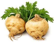 Priapus Gel — extracto de maca (Lepidium meyenii)